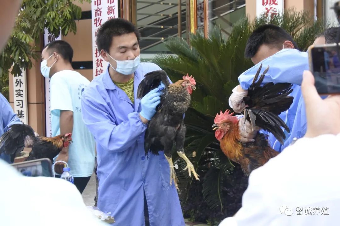叙州区困难残疾人来留诚开展为期四天的学习