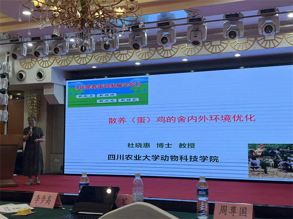 四川农业大学杜晓惠教授的“鸡的科学散养”十日行